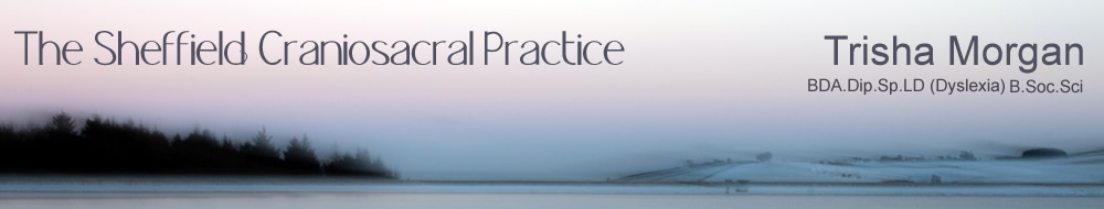 The Sheffield Craniosacral Practice